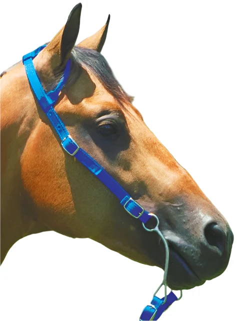 Nylon One Ear Western Horse Headstall - Healthber