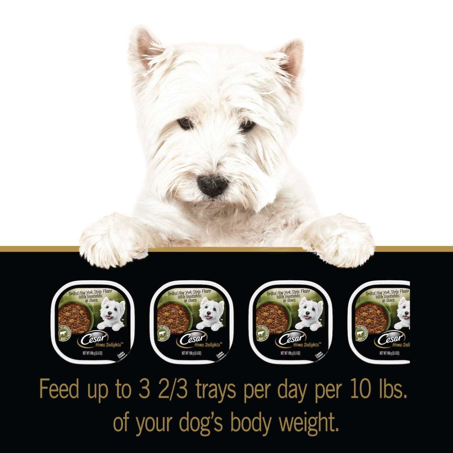 Cesar Home Delights Vegetables Dog Food - Healthber