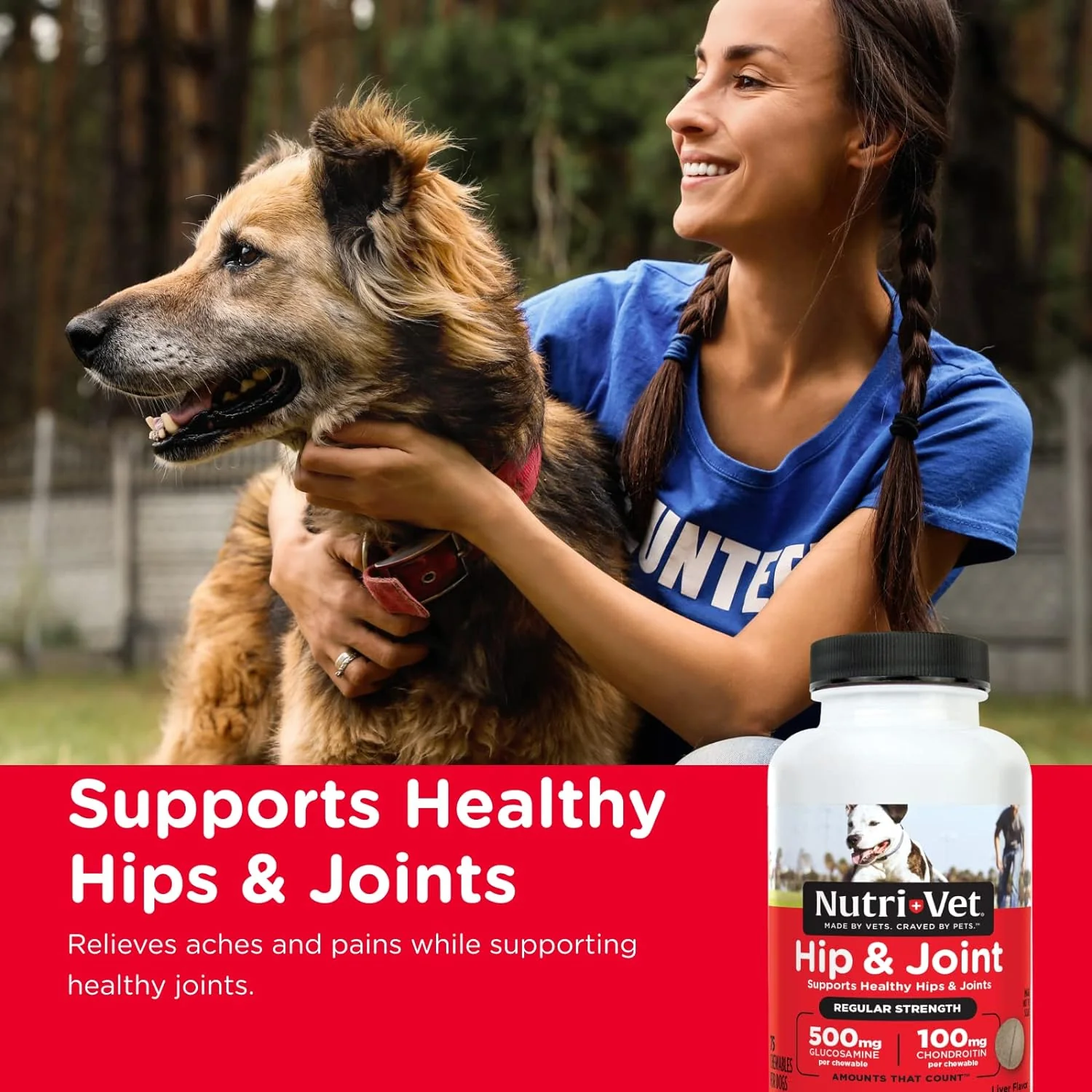 Nutri-Vet Hip & Joint Regular Strength Chewables for Dogs - Healthber