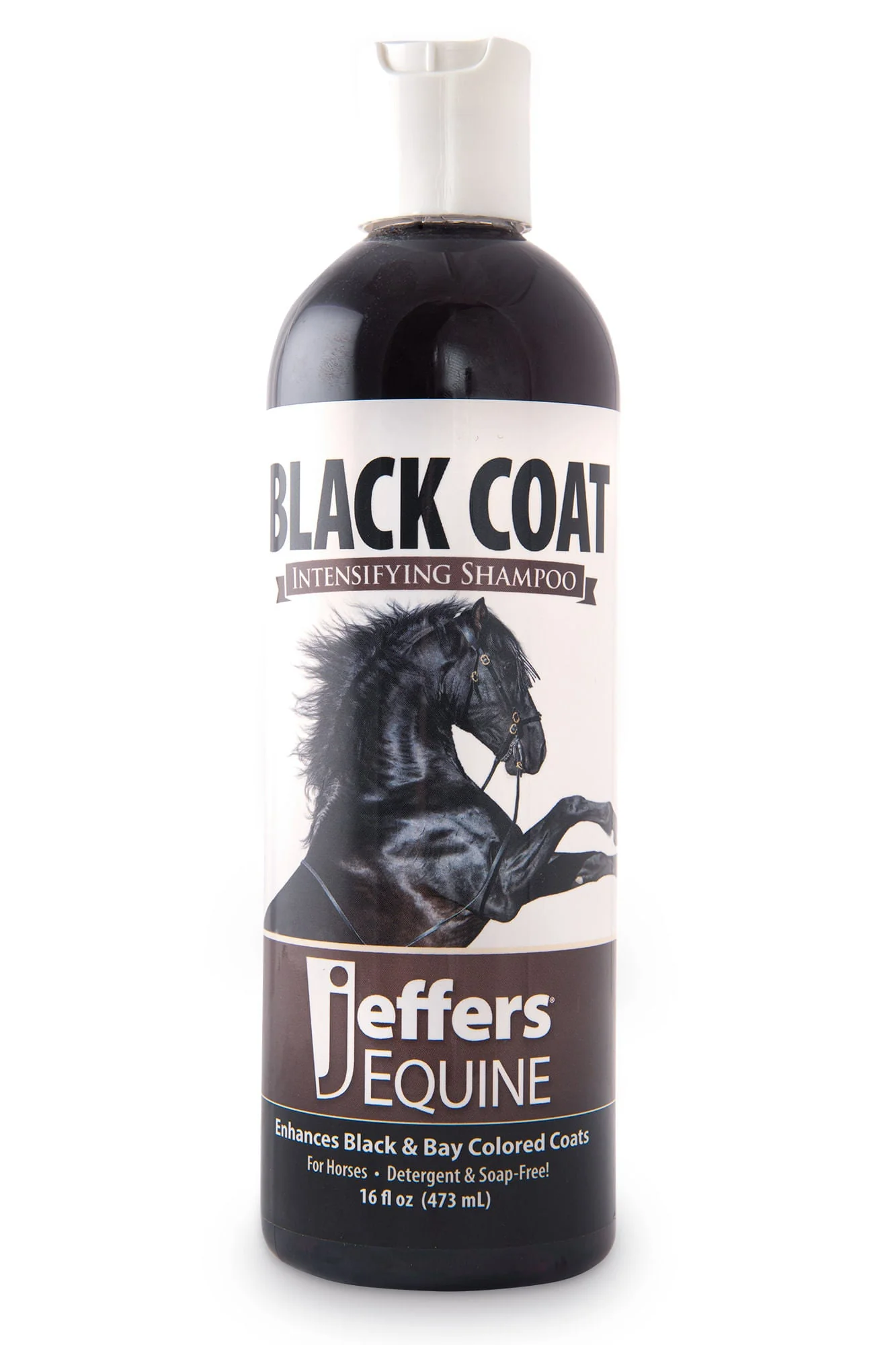 Equine Black Coat Intensifying Horse Shampoo for Black & Bay Coats - Healthber