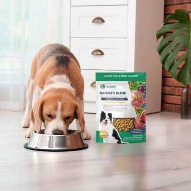 Dr. Marty Nature’s Blend Premium Origin Freeze-Dried Dog Food - Healthber