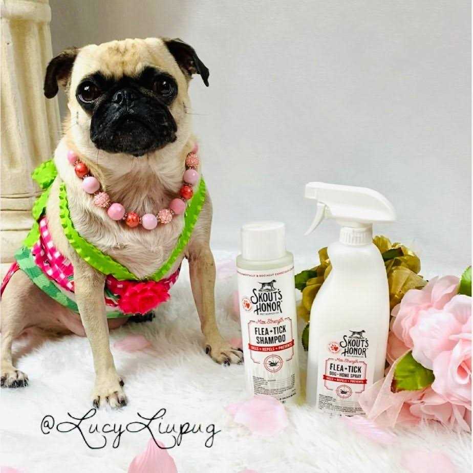 Skout’s Honor Flea & Tick Shampoo - Healthber