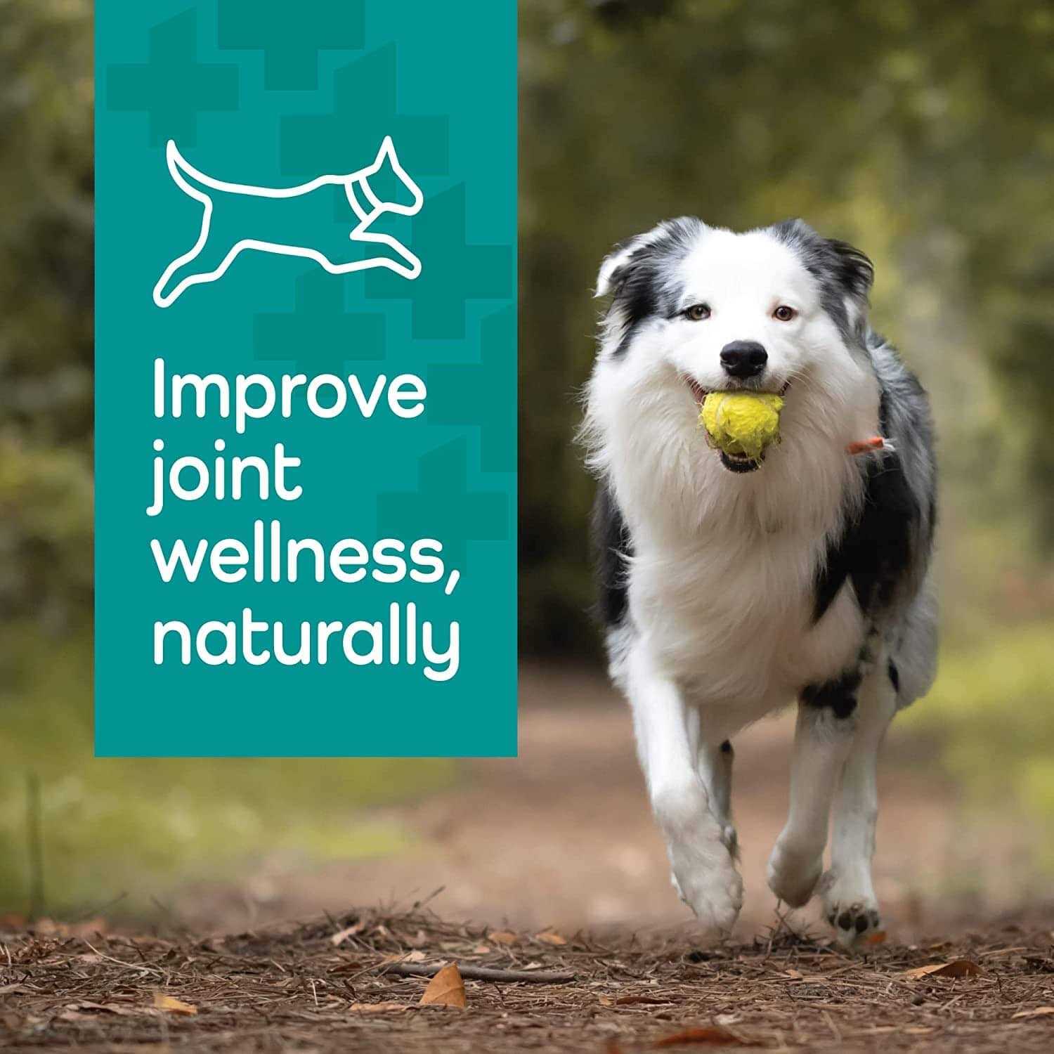 Vetality Hemp Helpers Collar for Dogs - Healthber