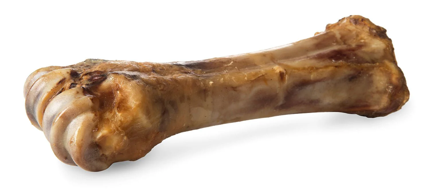 ChewMax Beef Shank Bone - Healthber