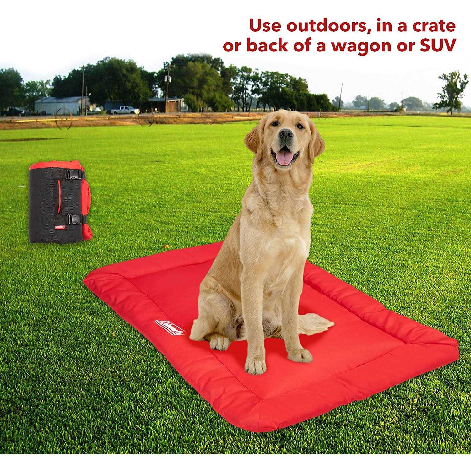 Coleman Roll-Up Travel Dog Bed - Healthber