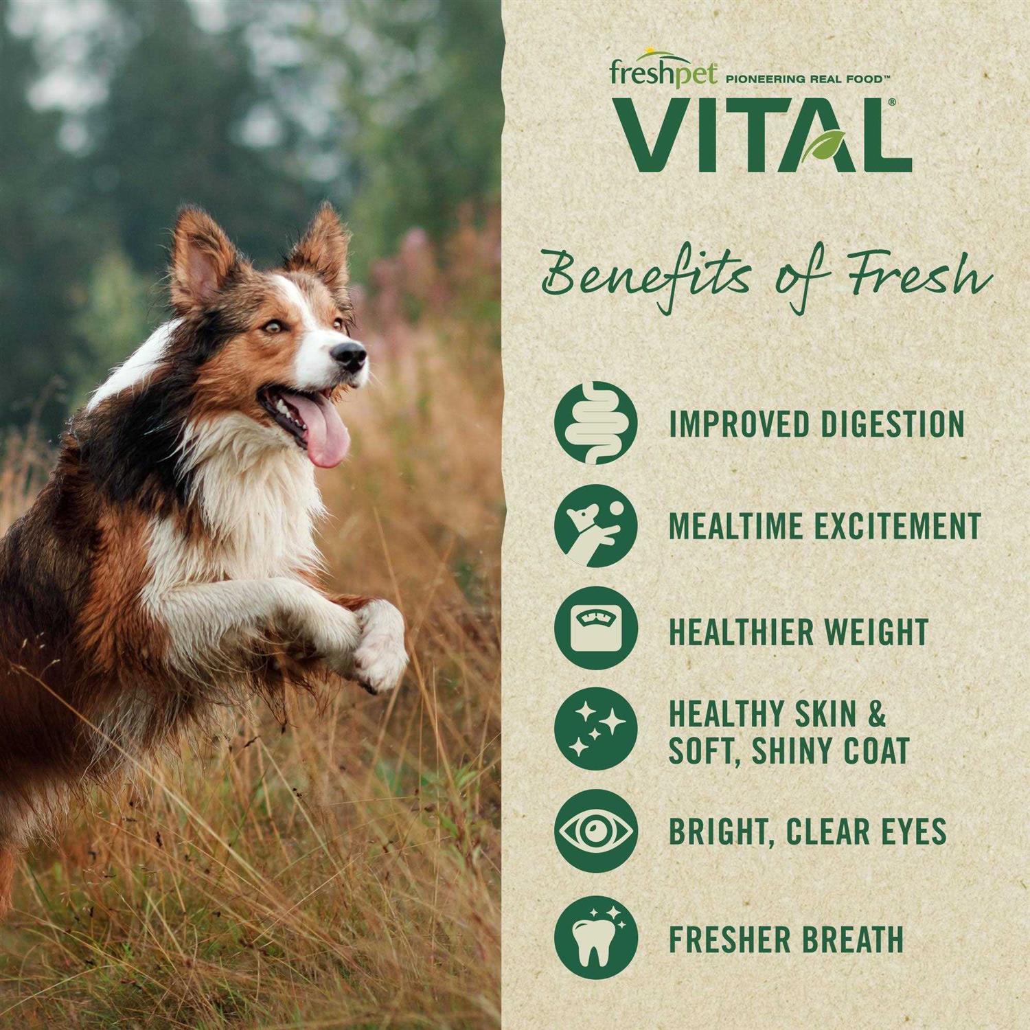 Freshpet Vital Grain Free Puppy Food - Healthber