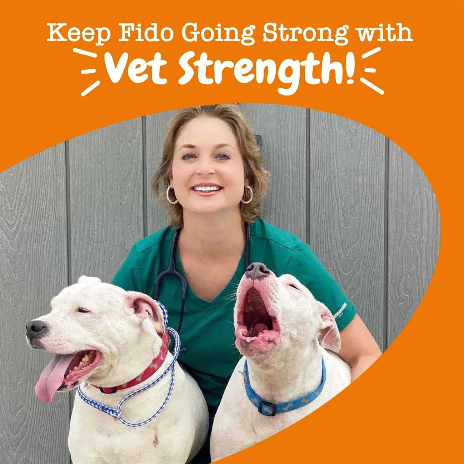 Zesty Paws Vet Strength Pre Post & Probiotic Gut Health Bites for Dogs - Healthber