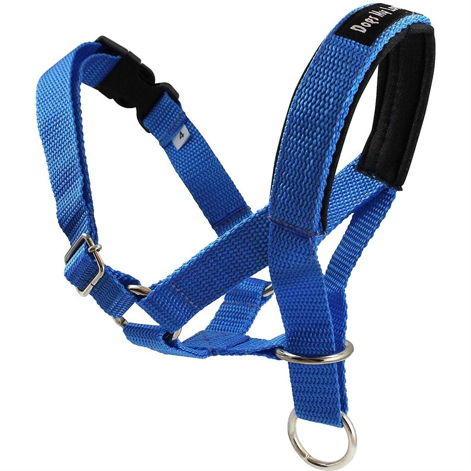 Dogs My Love Dog Head Collar Halter Sizes - Healthber