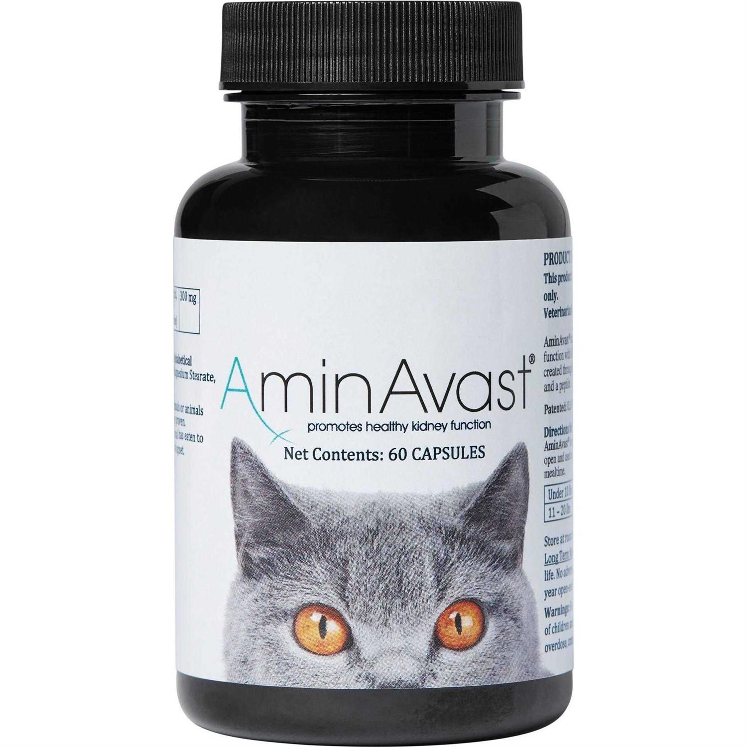 AminAvast Kidney Support for Cats - Healthber