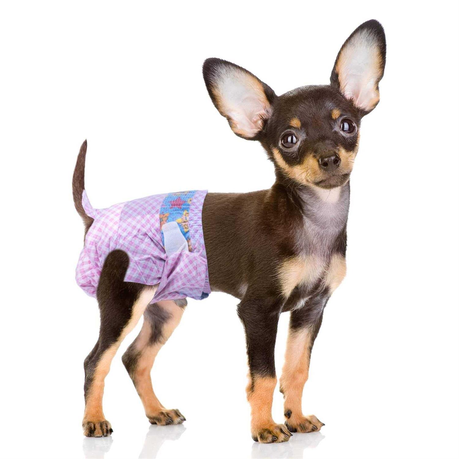 Flying Paws Disposable Female Dog Diapers, Puppy Diapers with Adjustable Elastic Waistline for Female Dog or Cat in Heat - Healthber