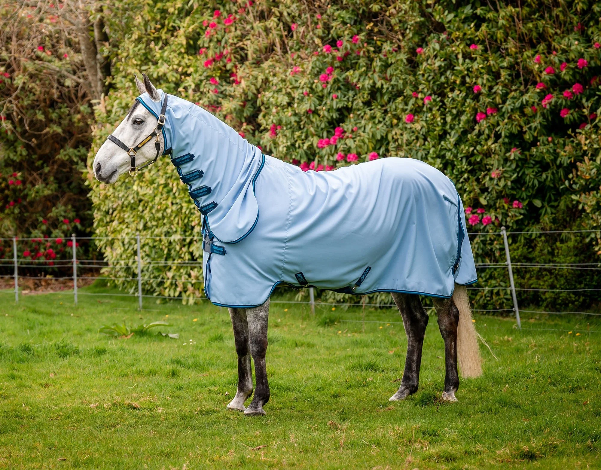 Amigo Ripstop Hoody Horse Fly Sheet - Healthber