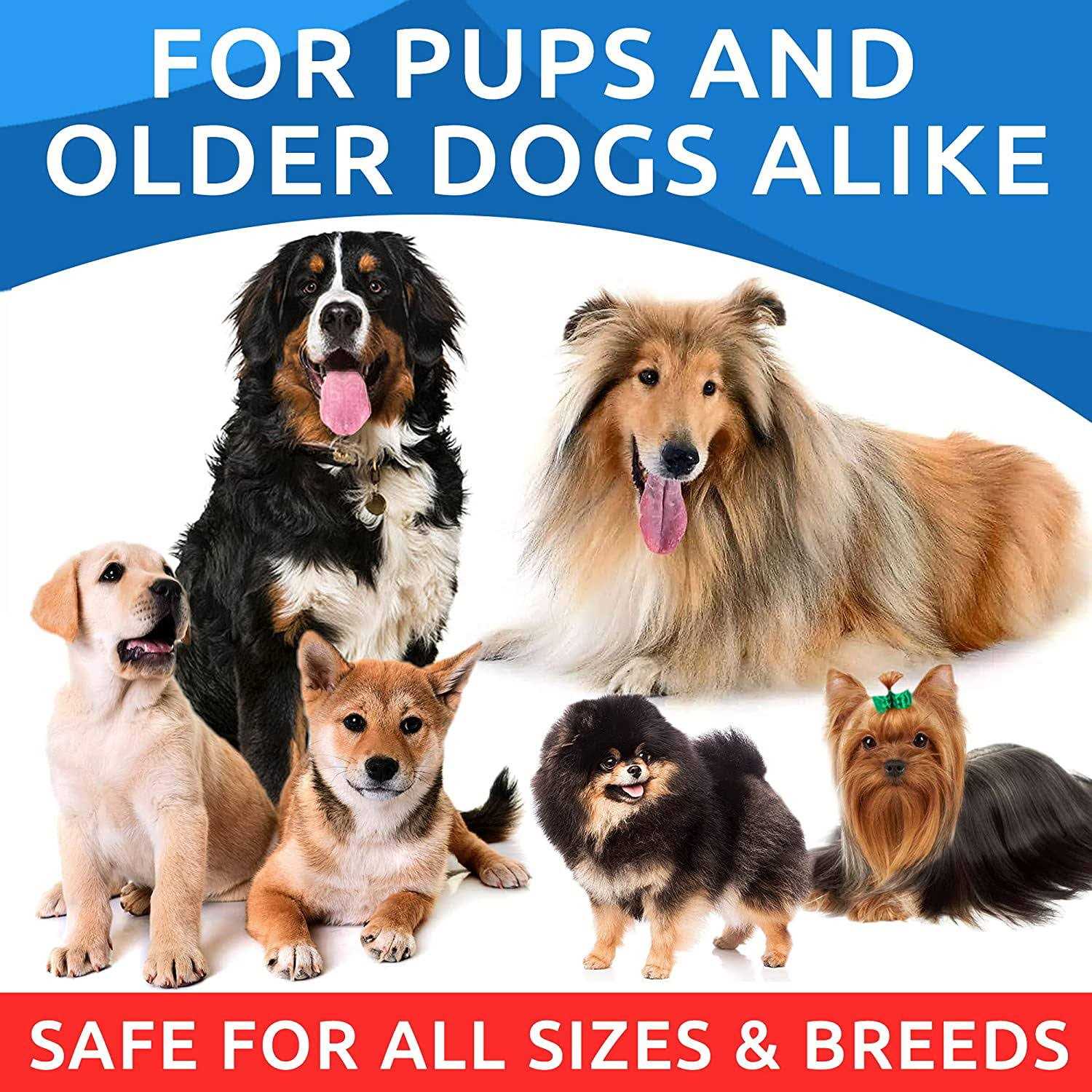 Bark&Spark Omega Dogs Oil - Healthber