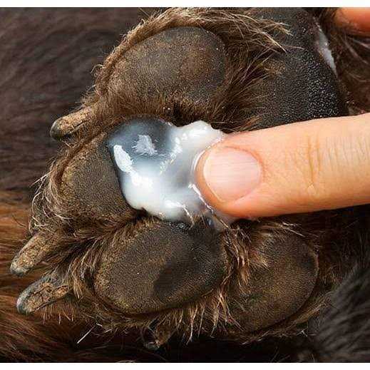 Healers Anti-Itch Hot Spot Relief for Pets with Hydrocortisone - Healthber