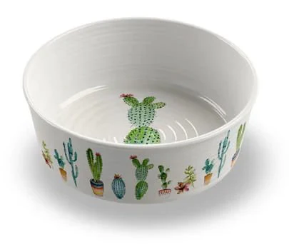 Cactus Pet Bowl - Healthber