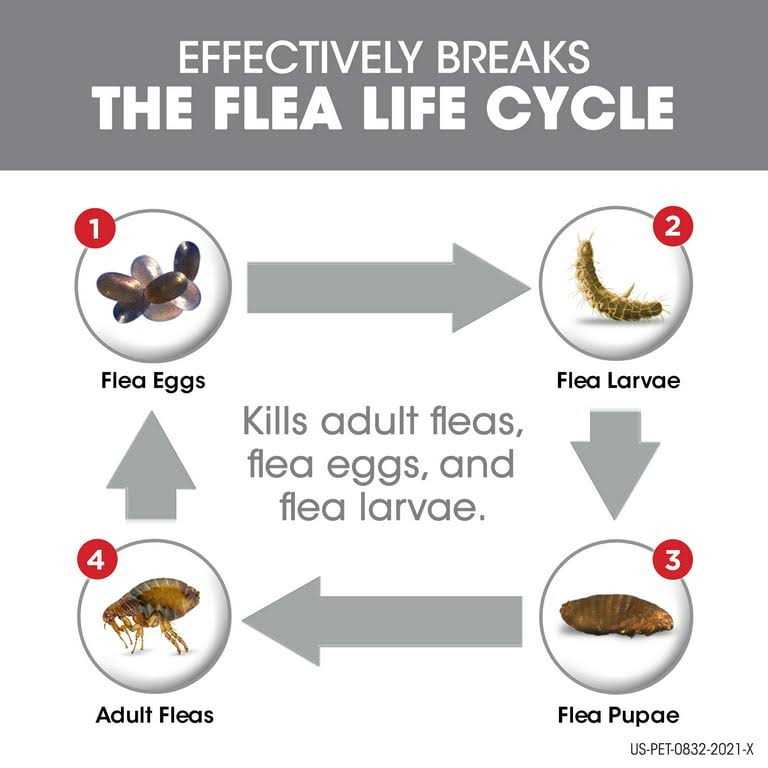 Frontline Plus Dogs Flea Tick - Healthber