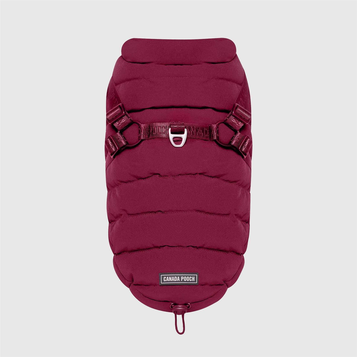 Canada Pooch Harness Puffer Black - Healthber