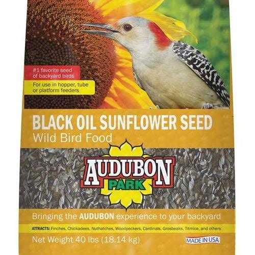 Audubon Park 11801 Black Oil Sunflower Seed Wild Bird Food - Healthber