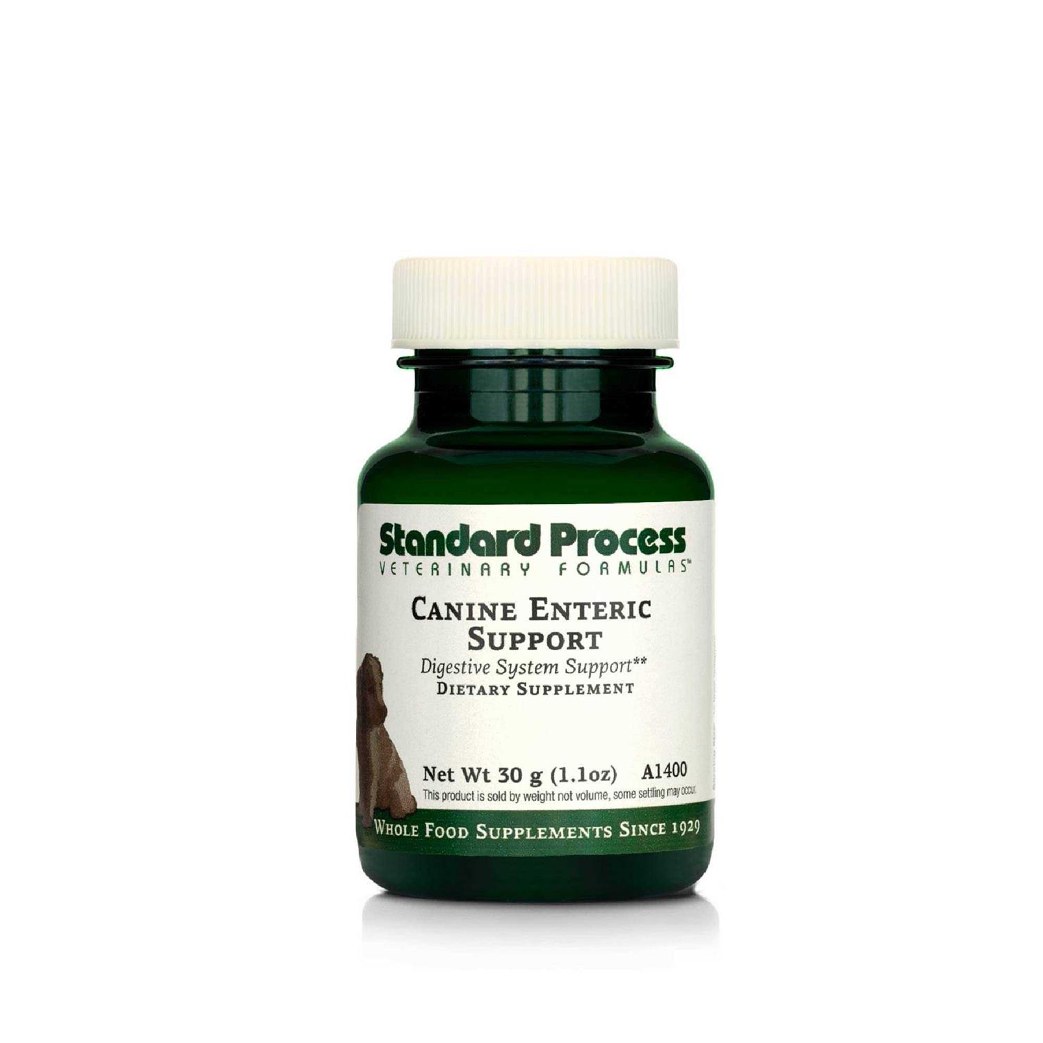 Canine Enteric Support - Healthber