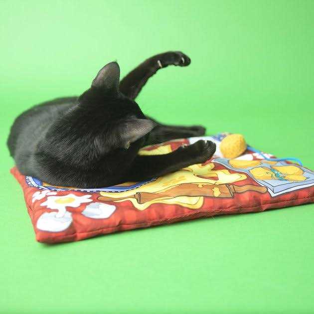 Fat Cat Big Mama’s Makin’ Biscuits Boogie Mat - Healthber