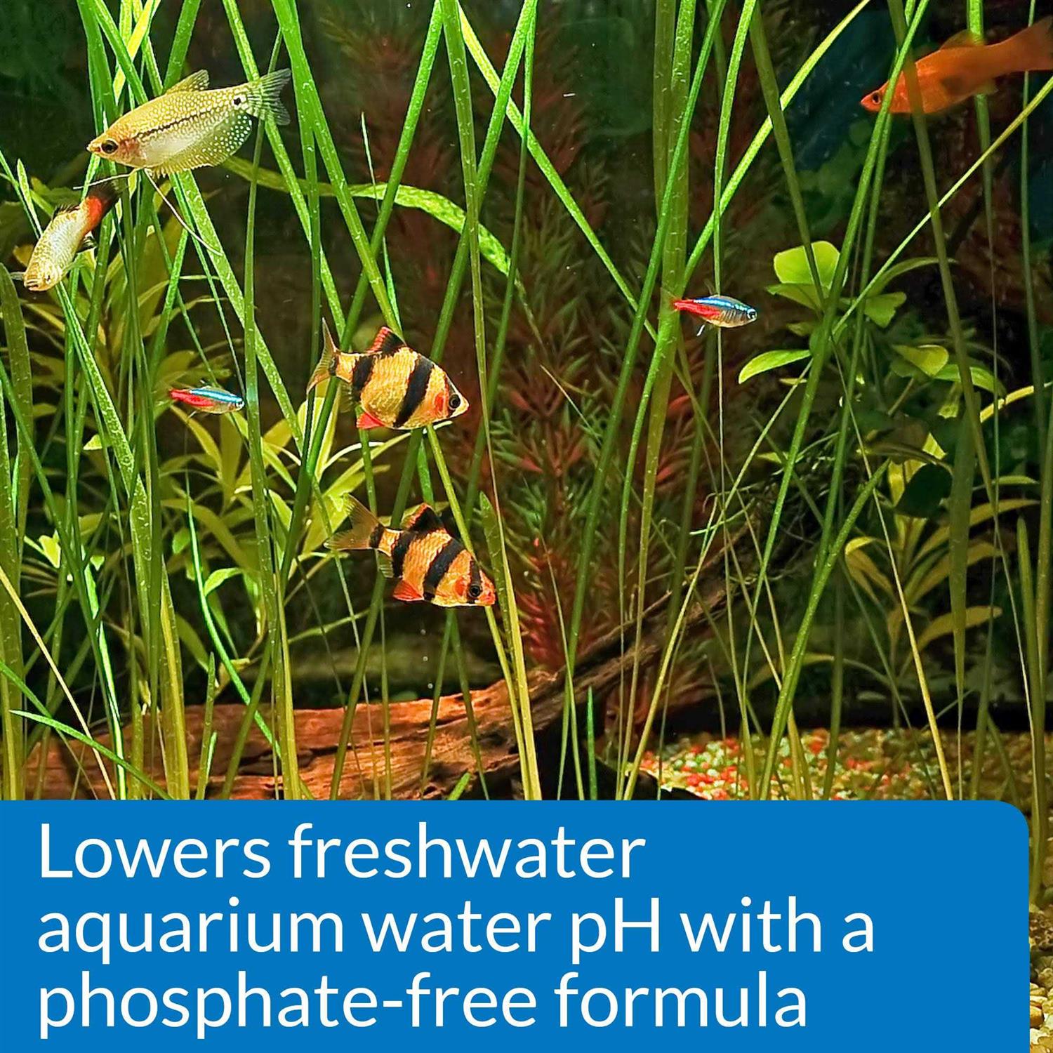 API pH Down Aquarium pH - Healthber