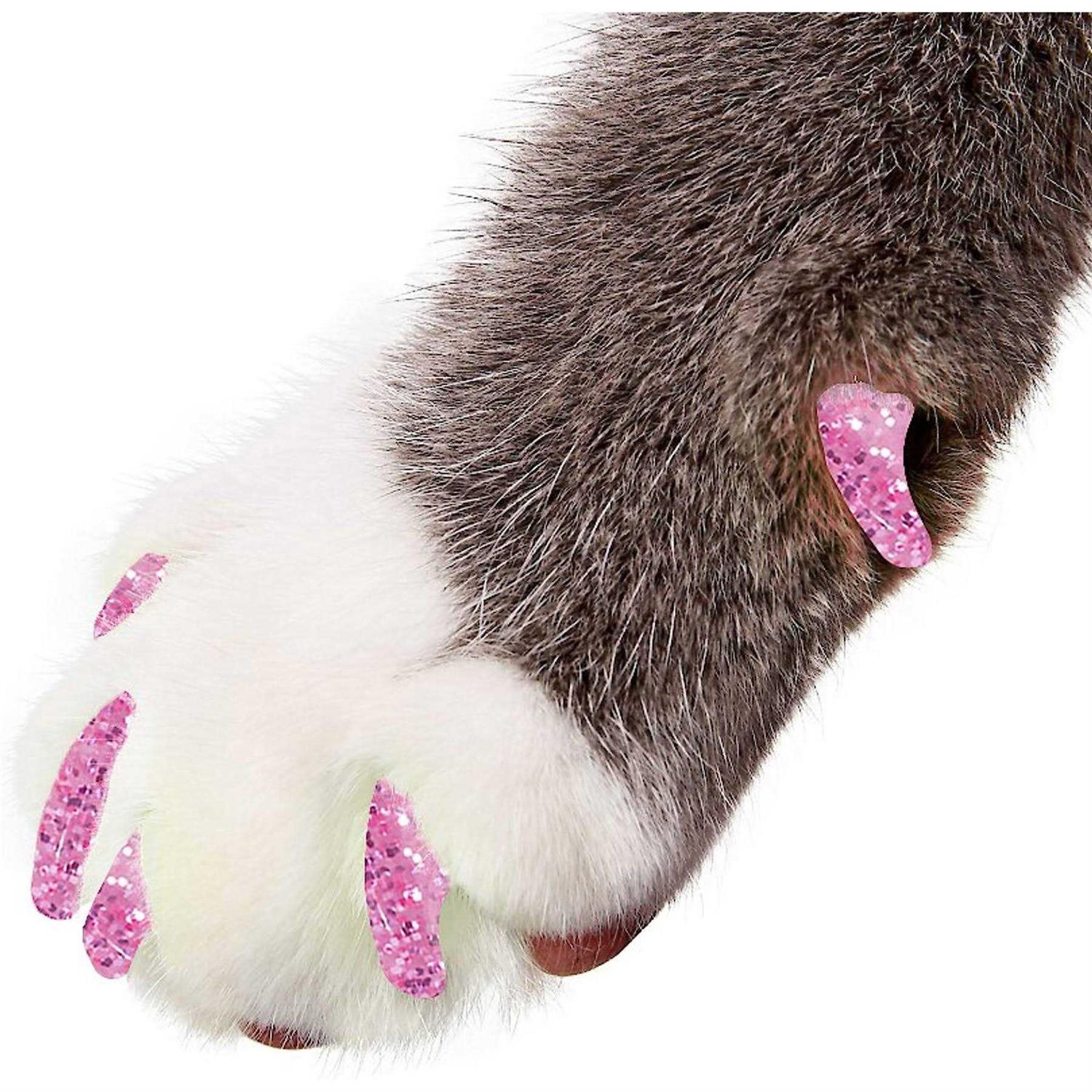 Purrdy Paws Soft Nail Caps for Cat Claws - Healthber