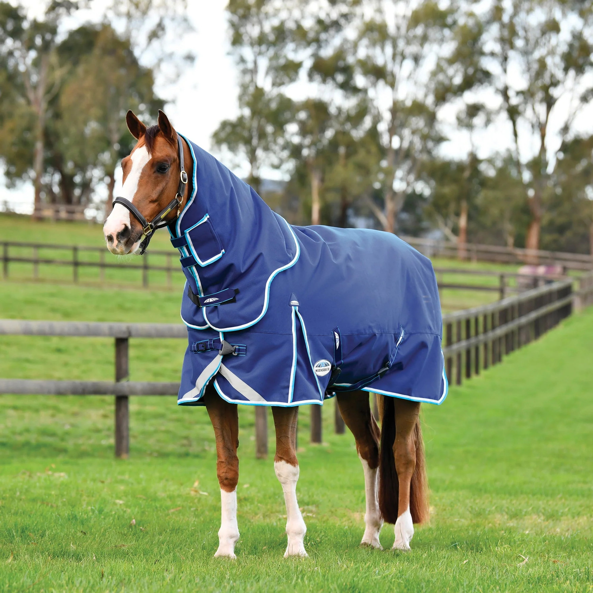 WeatherBeeta ComFITec Ultra Hardi Detach-a-Neck Turnout Blanket, Medium - Healthber