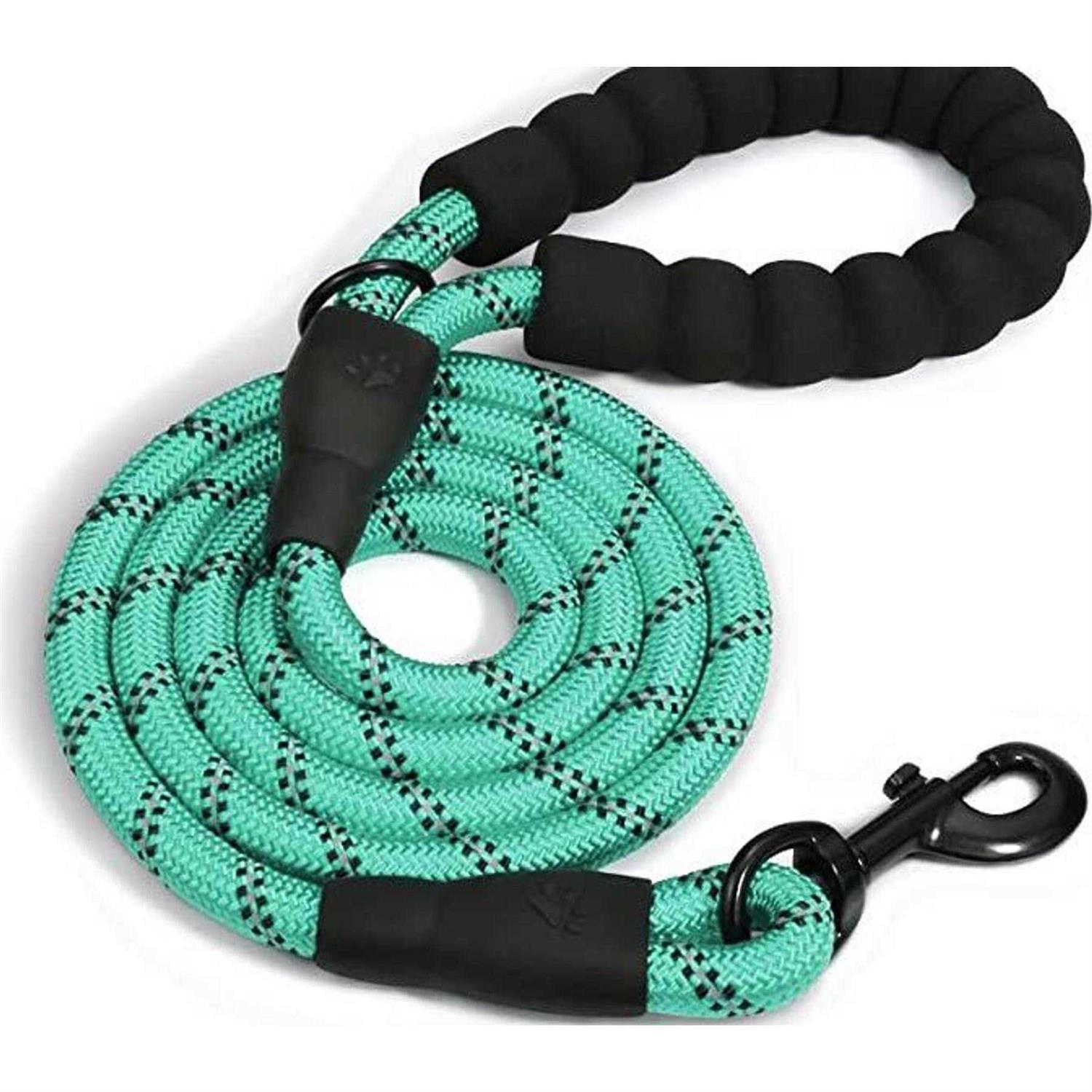 Doggy Tales Braided Dog Leash - Healthber