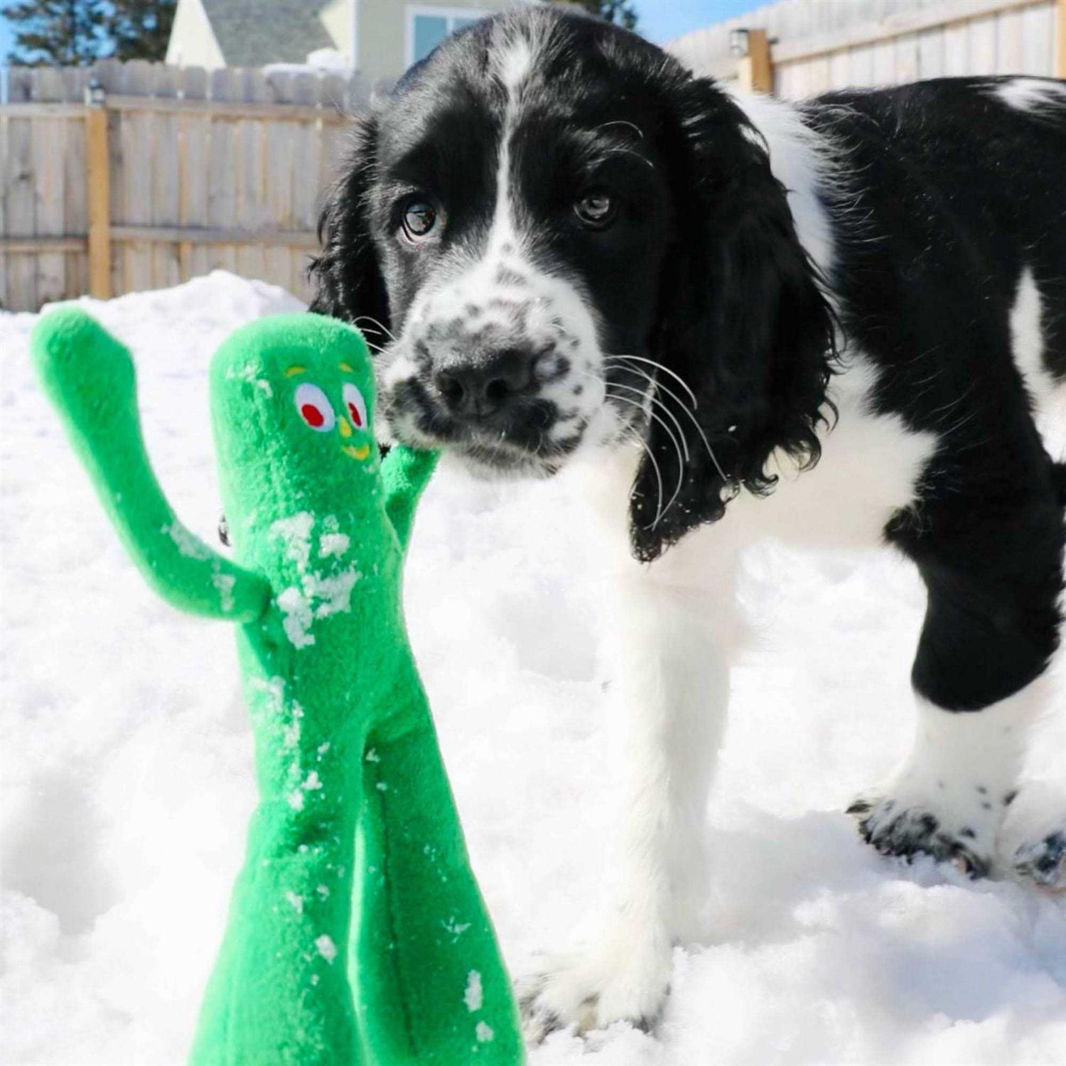 Multipet Gumby Plush - Healthber
