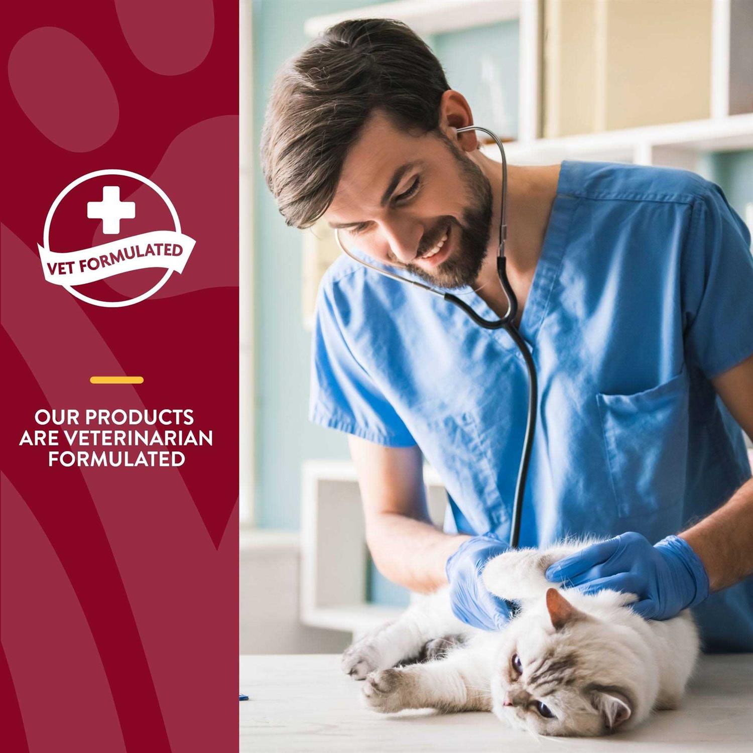 NaturVet Cranberry Relief Plus Echinacea for Cats - Healthber