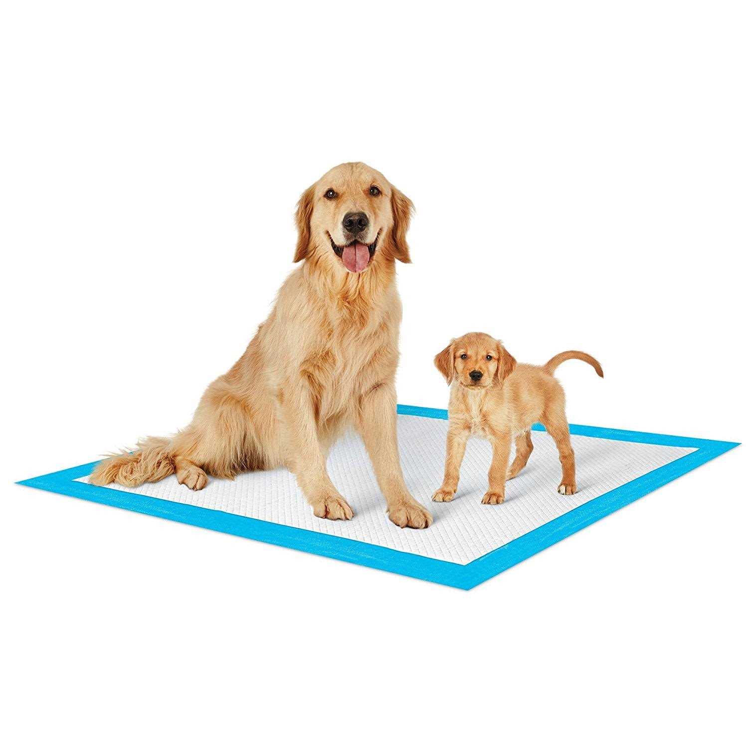 Petsworld Extra Large Potty Pads for Dogs - Healthber
