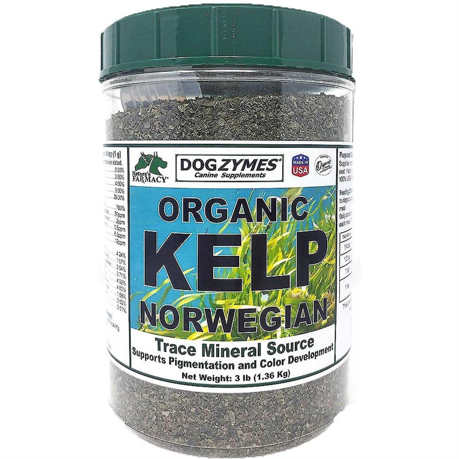 Dogzymes Organic Norwegian Kelp with Organic Garlic - Healthber