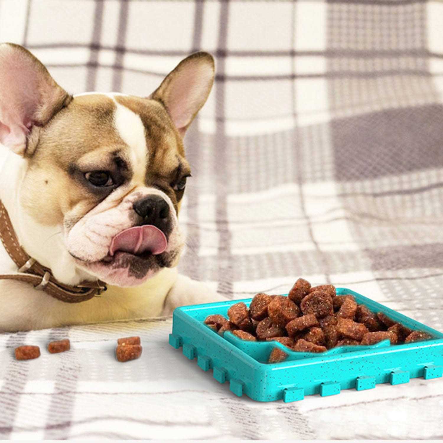 HANAMYA Pet Slow Treat Dispensing Mat Set - Healthber