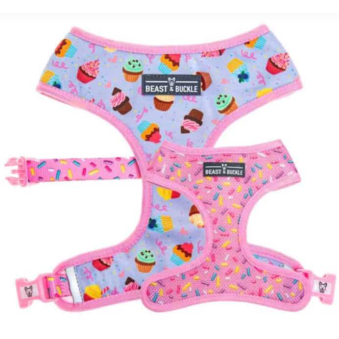Beast & Buckle Reversible Dog Harness - Healthber