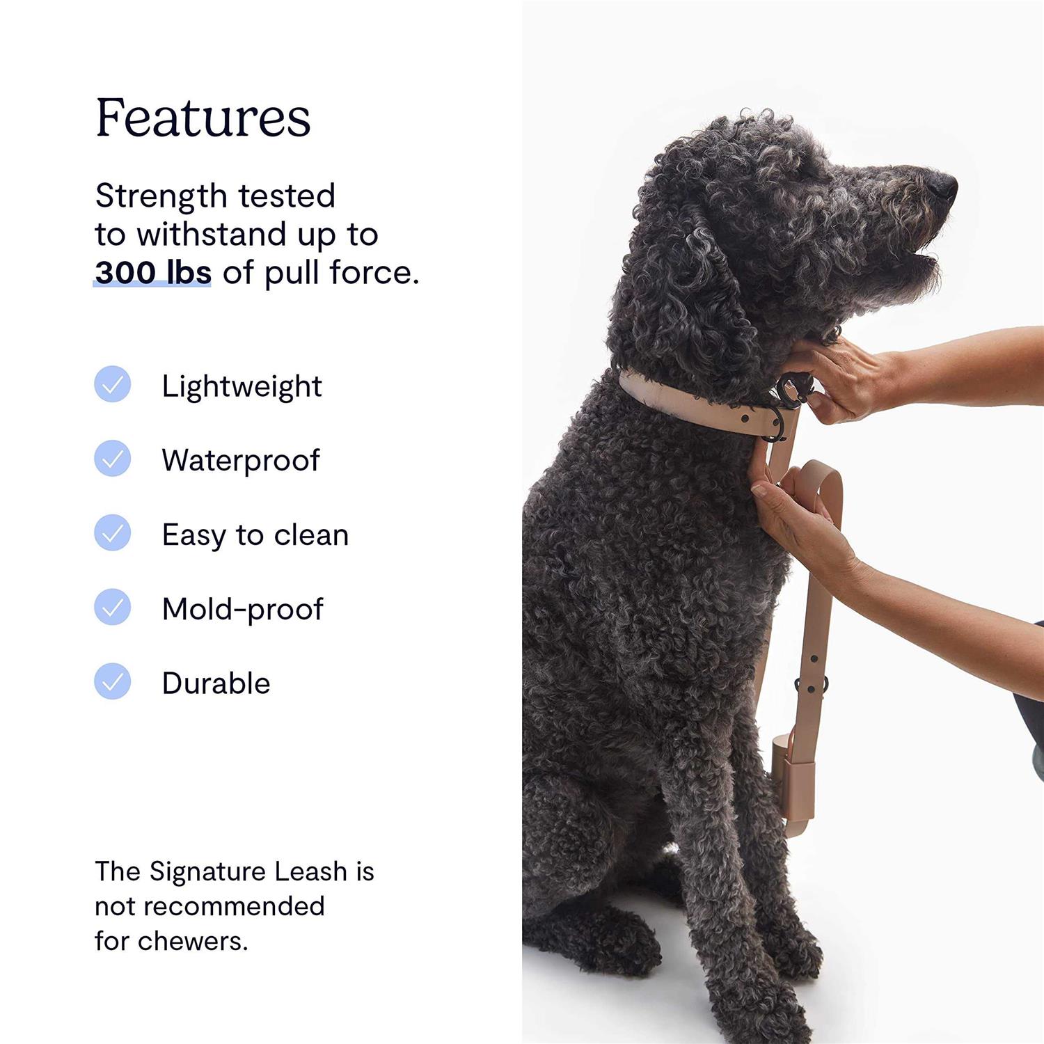 Fable Pets Signature Dog Leash - Healthber