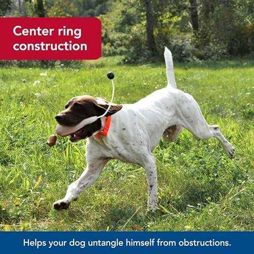 Water & Woods Waterproof Dog Collar - Healthber