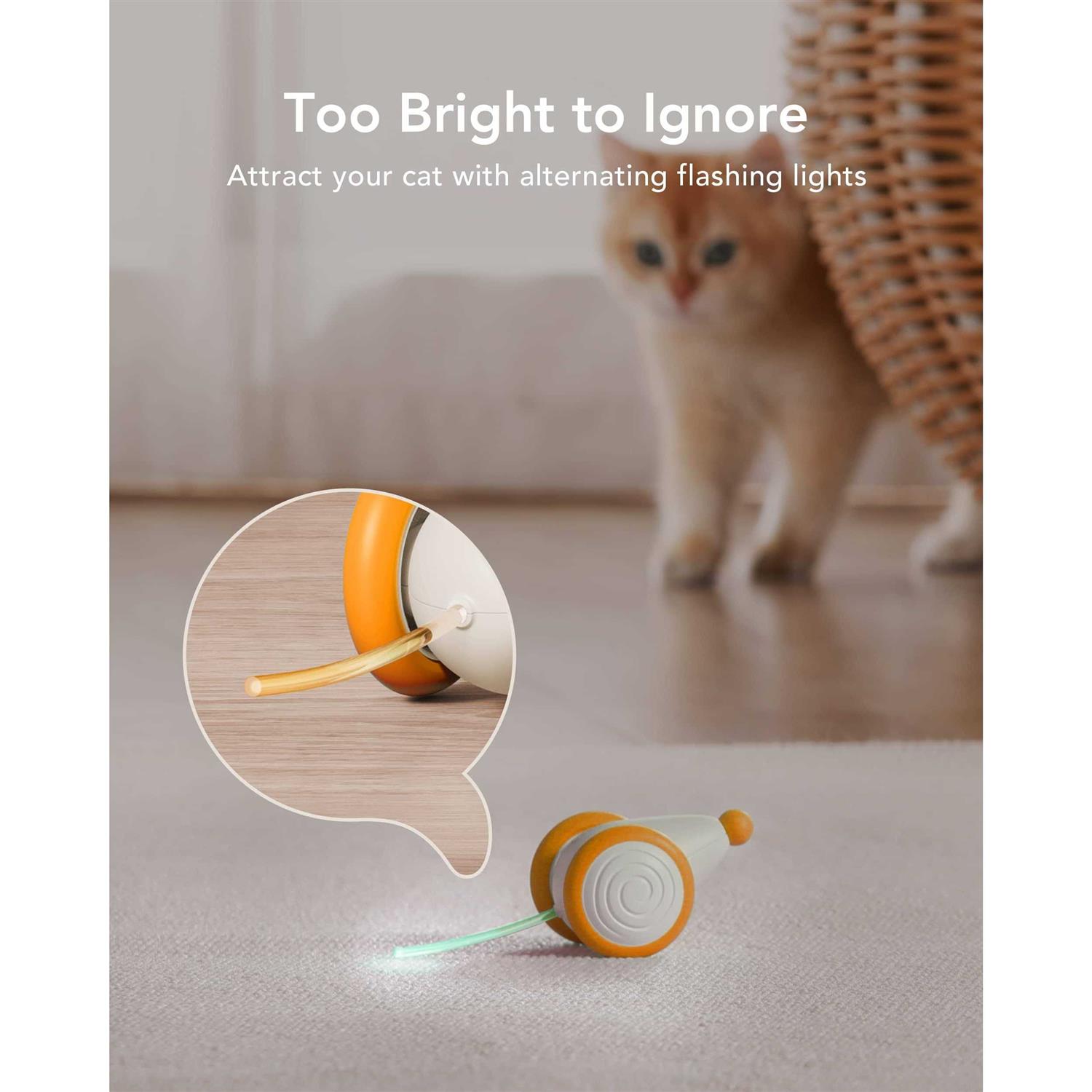 PETLIBRO Interactive Cat Toys for Indoor Cats Automatic Cat toy with LED Lights - Healthber