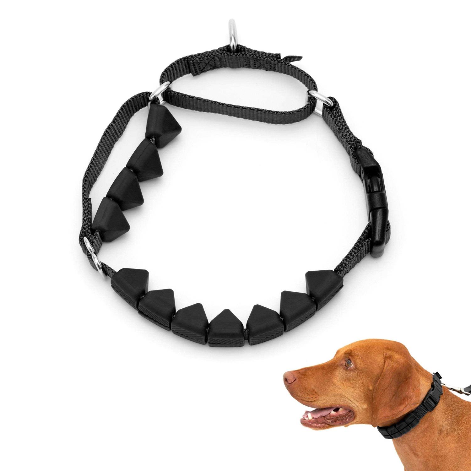 PetSafe Soft Point Training Collar - Healthber
