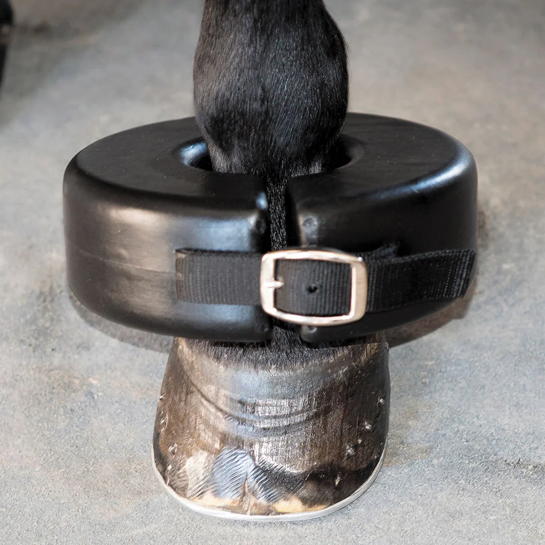 Shoe Boil Ring - Healthber
