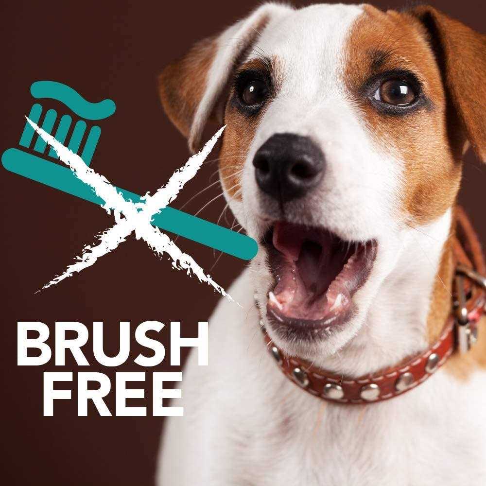 Tevrapet Brush-Free Oral Gel for Pets - Healthber