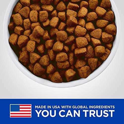 Hill’s Prescription Diet Metabolic + Mobility Weight & Joint Care Chicken Flavor Dry Dog Food - Healthber