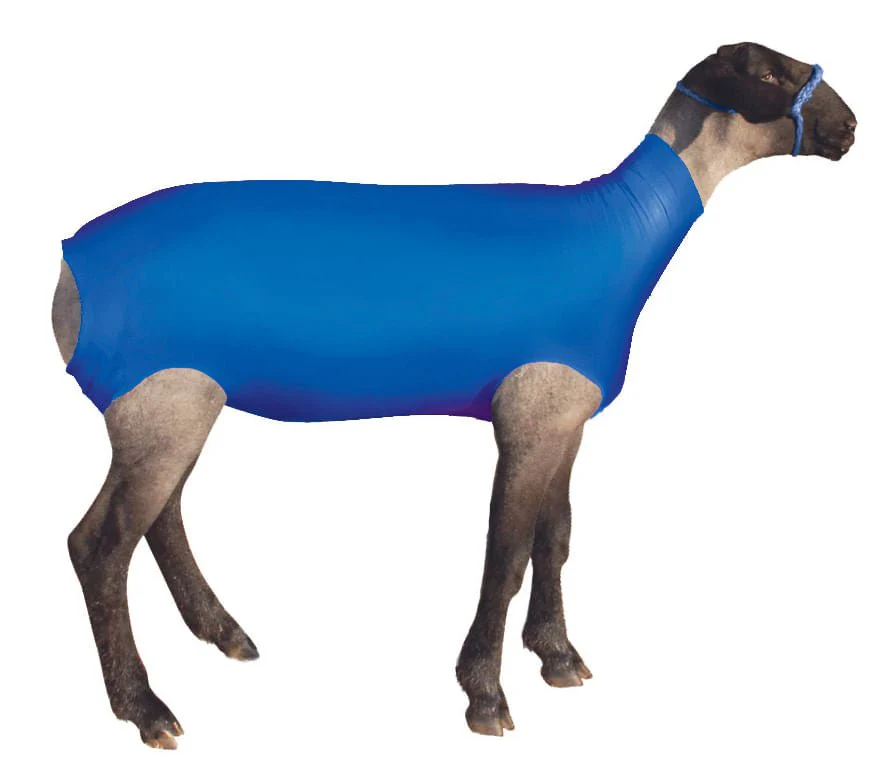 ShowPro Spandex Lamb Tube - Healthber