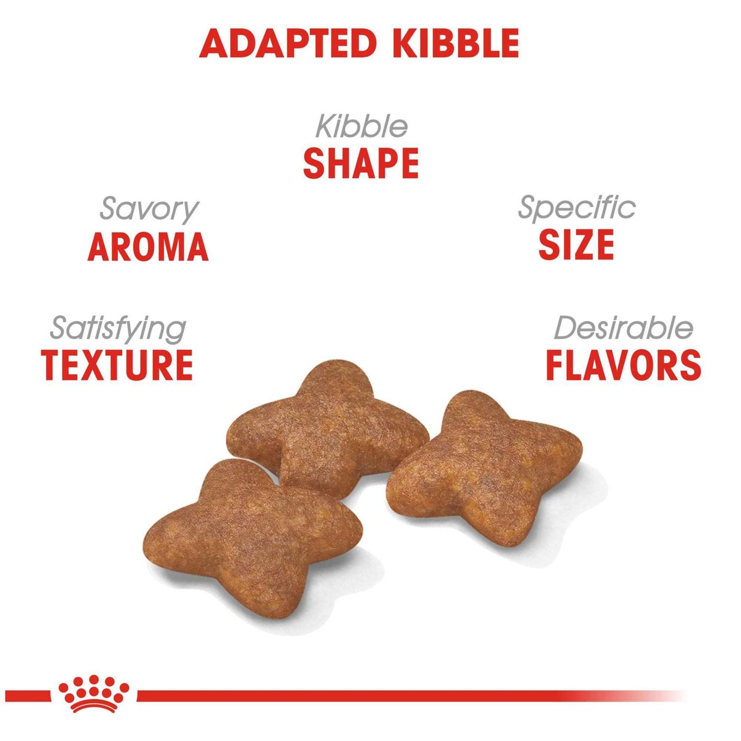Royal Canin Health Nutrition Small Adult Dry Dog Food - Healthber