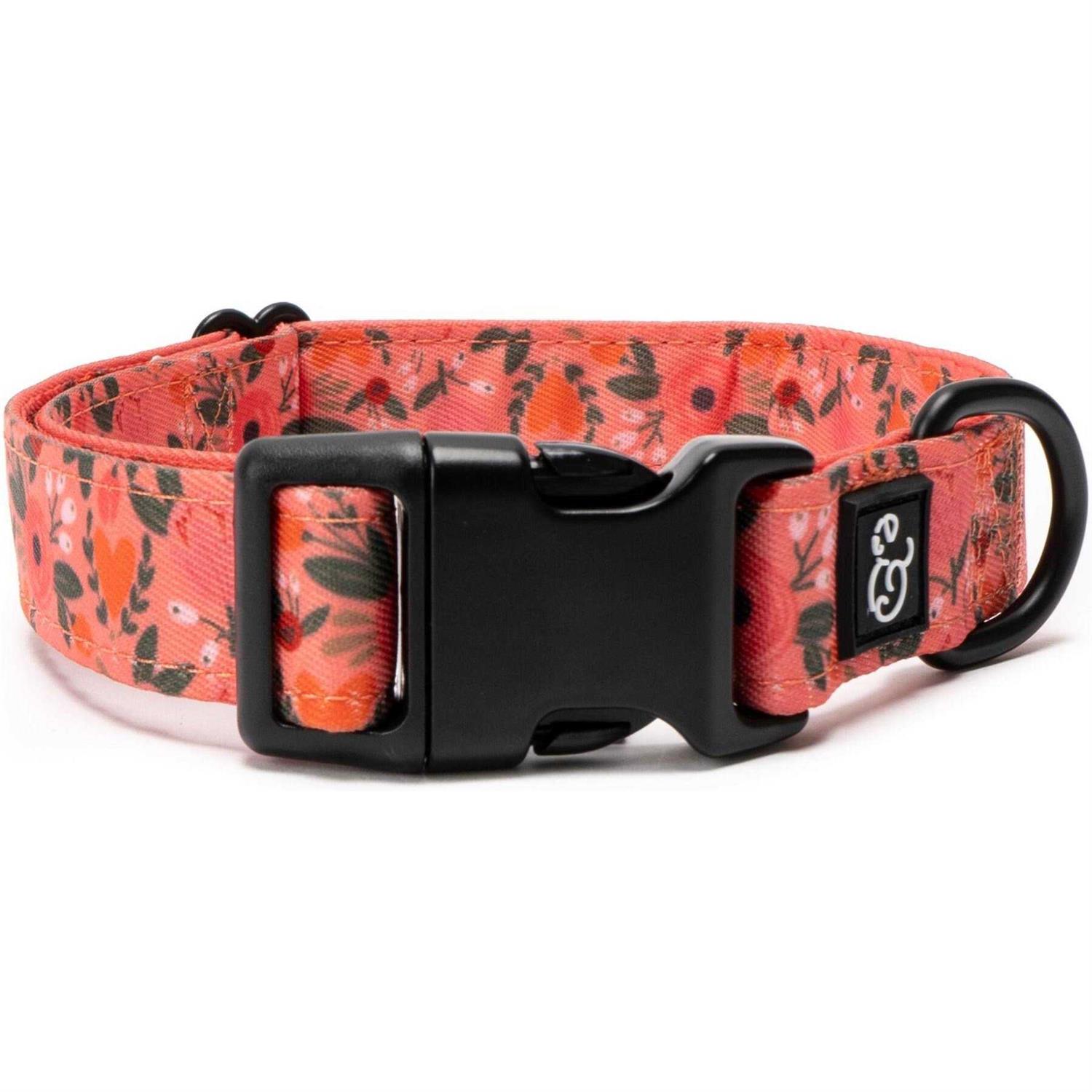 Lucy & Co. Posy Pink Dog Collar - Healthber