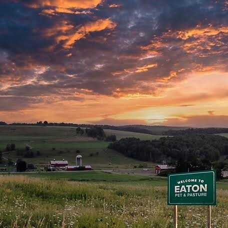 Eaton Pet & Pasture Naturally Grown Hemp Small Pet Bedding - Healthber