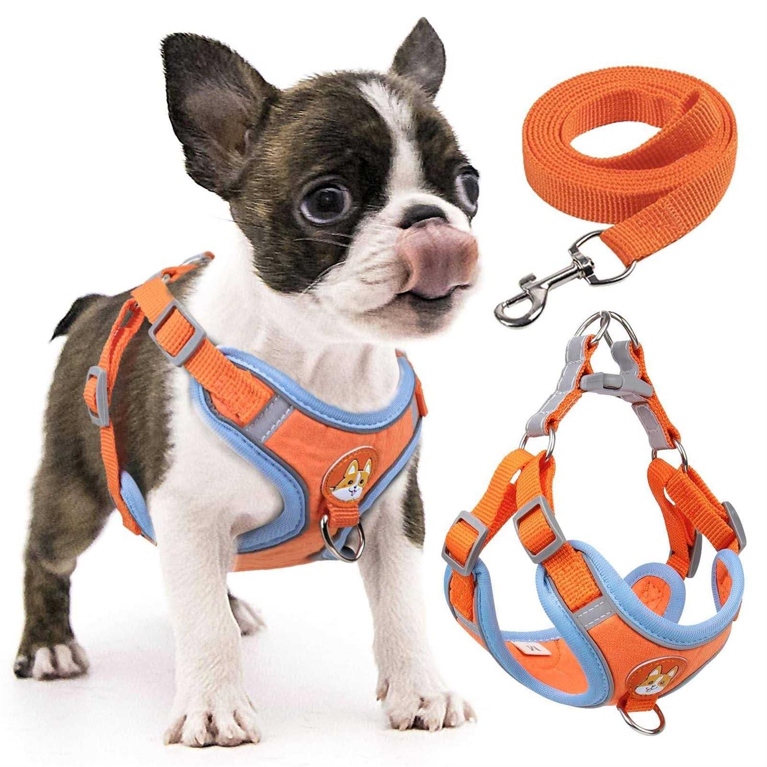 rennaio Dog Harness No Pull, Adjustable Puppy Harness with 2 Leash Clips, Ultra Padded Dog Vest Harness, Reflective Dog Harness and Leash - Healthber
