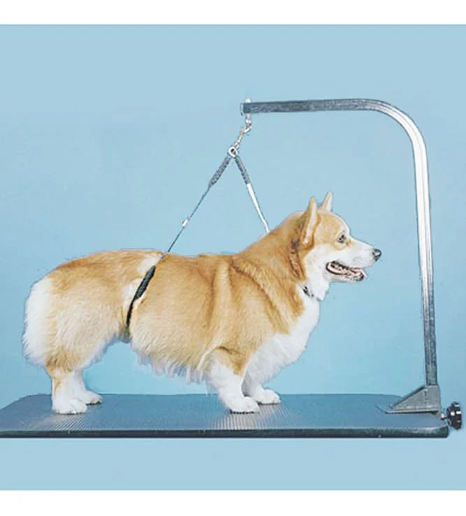 Proguard No-Sit Haunch Holder - Healthber