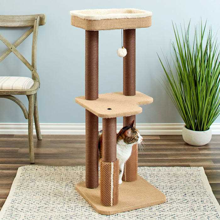 Two by Two Beech 39-inch Cat Tree - Healthber