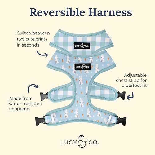 The Funny Bunny Reversible Dog Harness | Lucy & Co Medium - Healthber