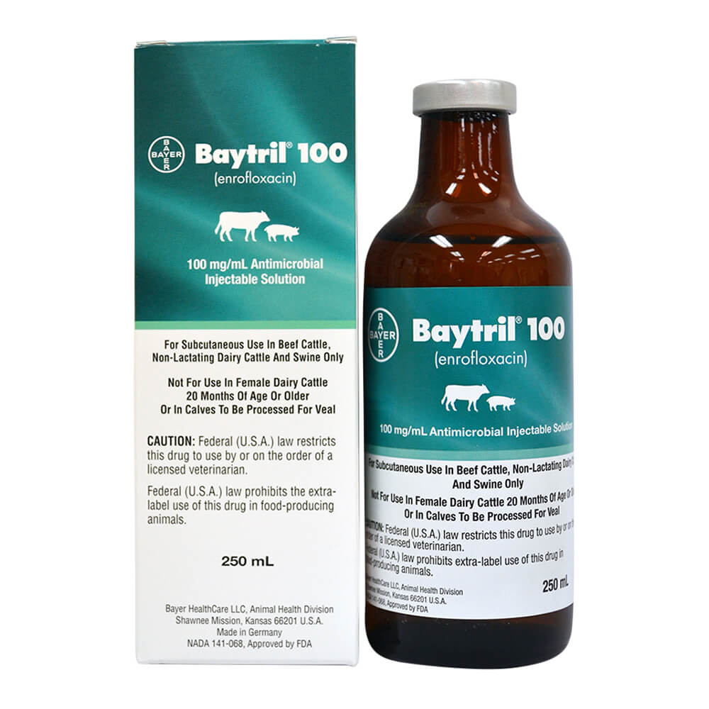 Rx Baytril 100 (enrofloxacin) 100mg/mL Antimicrobial Injectable Solution for Swine & Cattle - Healthber