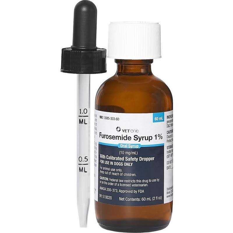 Furosemide 10mg/mL 60ml Oral Syrup - Healthber